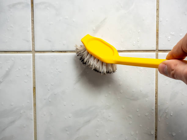 Professional Mold Removal in Mountain View, AR
