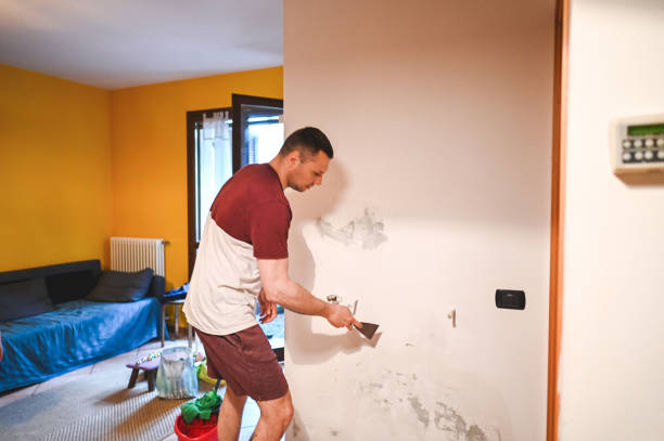 Mold Removal and Inspection in Mountain View, AR