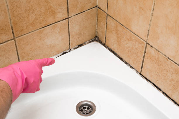 Best Mold Testing  in Mountain View, AR